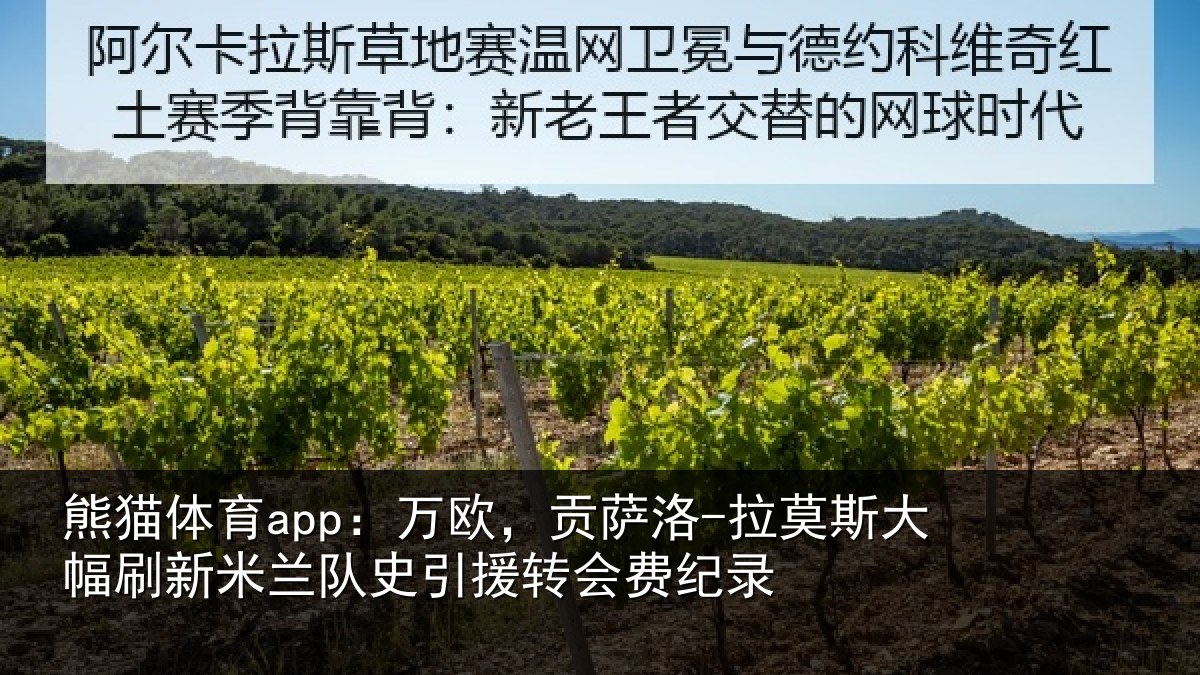 熊猫体育app：万欧，贡萨洛-拉莫斯大幅刷新米兰队史引援转会费纪录
