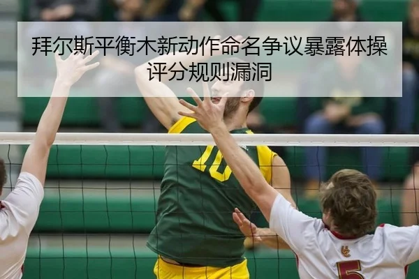 bai-er-si-ping-heng-mu-xin-dong-zuo-ming-ming-zheng-yi-bao-lu-ti-cao-ping-fen-gui-ze-lou-dong-2-136.jpg