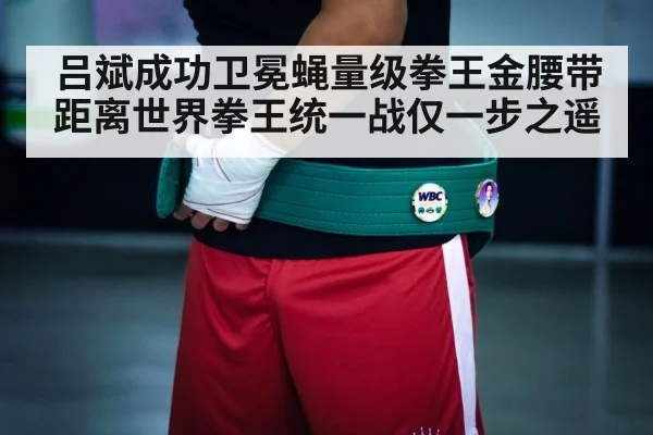 boxing champion belt