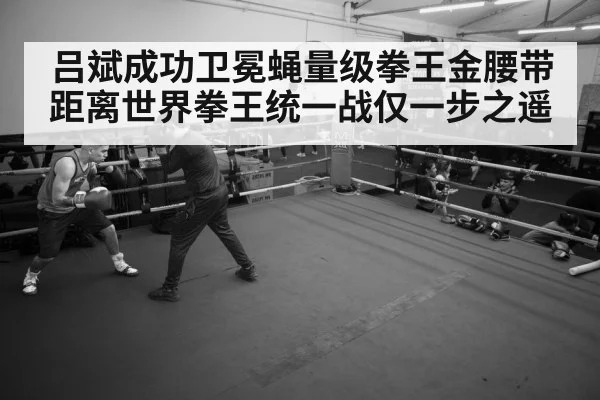boxer training gym